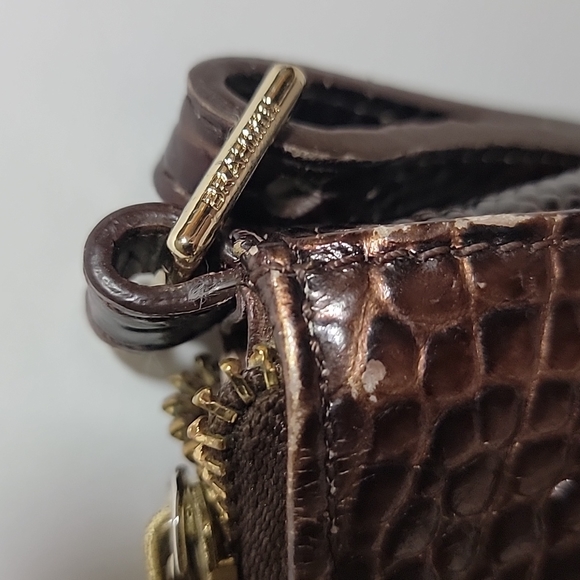 BRAHMIN - Picture 4 of 16